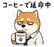 843602632