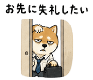 843602633