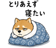 843602636