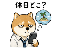 843602638