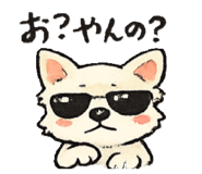 843603162