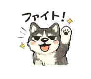 843603172