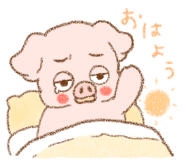 843603343
