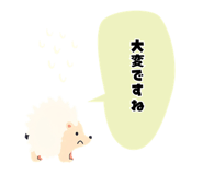 843603385