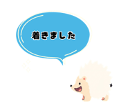 843603388
