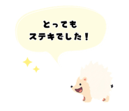843603393