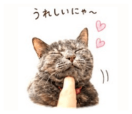843603416