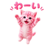 843603800