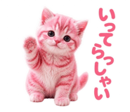 843603801