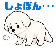 843603834