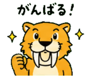 843604250