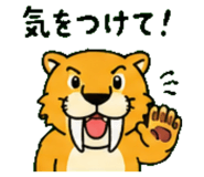 843604251