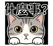 843607423