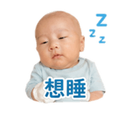 843608031