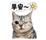 843608058