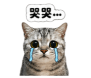 843608068