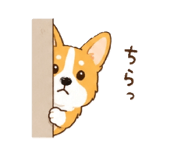 843608321