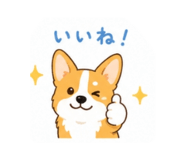 843608323