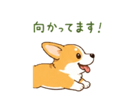 843608327