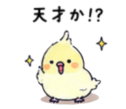 843608445