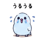 843608448
