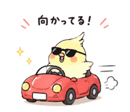 843608452