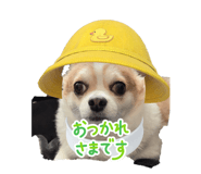 843608656