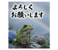 843608743