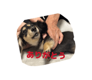 843608843