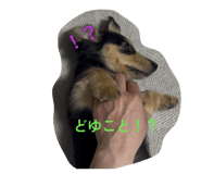 843608846