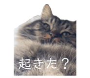 843609130