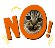 843609144