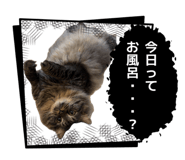 843609146