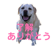 843610027