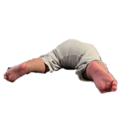 843610040