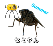 843610469