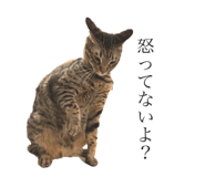 843610978