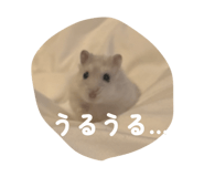 843611131