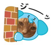 843611270