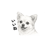 843611277