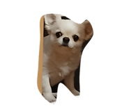 843611342