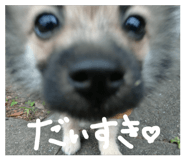 843611460