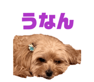 843611495