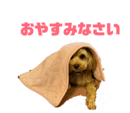 843611497
