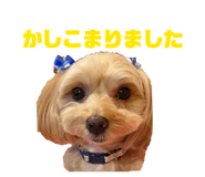 843611504
