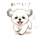 843611557