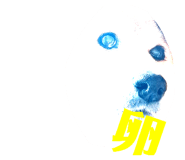 843630105