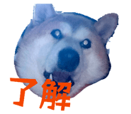 843630106
