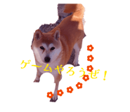 843630110