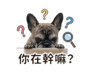 843631203